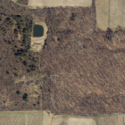 Satellite imagery of Bluff Point, US