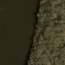 Satellite imagery of Paarda Hook, US