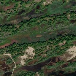 Satellite imagery of Allen's Ridge, CA
