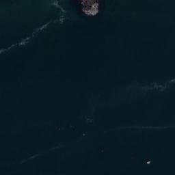 Satellite imagery of Curtis Point, US