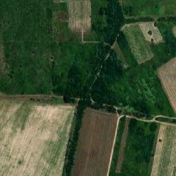 Satellite imagery of TT62, BG