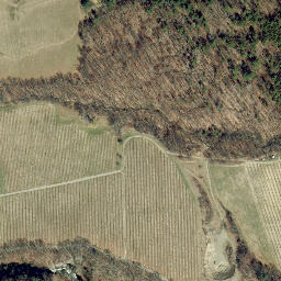 Satellite imagery of Boyd Point, US