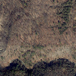 Satellite imagery of Eggleston Point, US