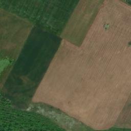 Satellite imagery of Brestovitsa, BG