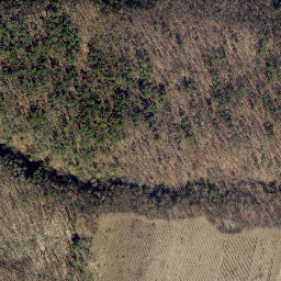 Satellite imagery of Eggleston Point, US
