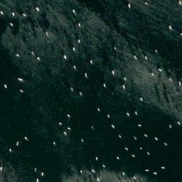 Satellite imagery of Pickering Point, US