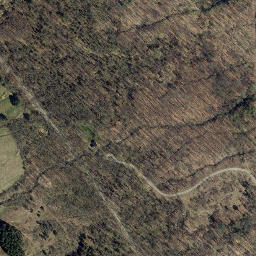 Satellite imagery of Maplewood Point, US