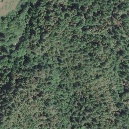 Satellite imagery of Thoms Point, US
