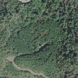 Satellite imagery of Thoms Point, US