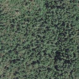 Satellite imagery of Thoms Point, US