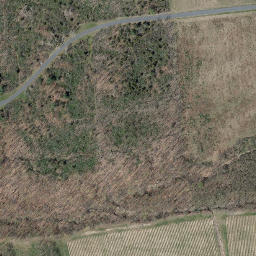Satellite imagery of McGrath Point, US