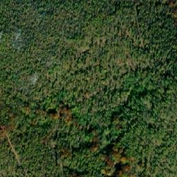 Satellite imagery of TT29, BG