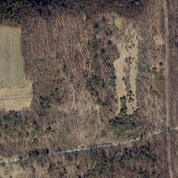 Satellite imagery of Rock Stream Point, US
