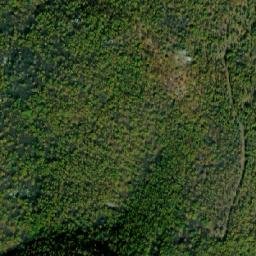 Satellite imagery of TT29, BG