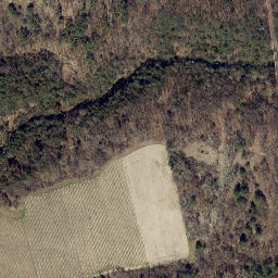 Satellite imagery of Rock Stream Point, US