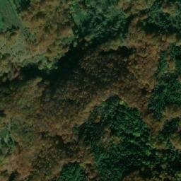 Satellite imagery of Drvni Javor, RS
