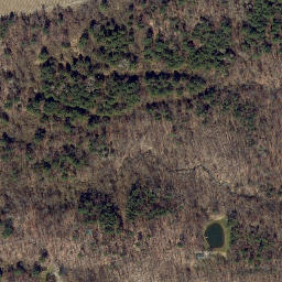 Satellite imagery of Rock Stream Point, US