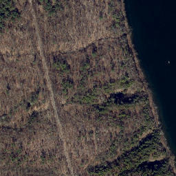 Satellite imagery of Rock Stream Point, US