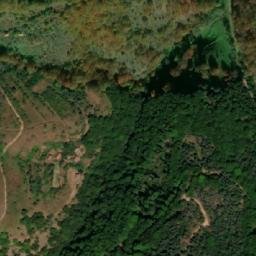 Satellite imagery of Drvni Javor, RS