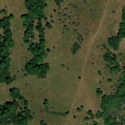 Satellite imagery of Drvni Javor, RS