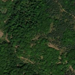 Satellite imagery of Drvni Javor, RS
