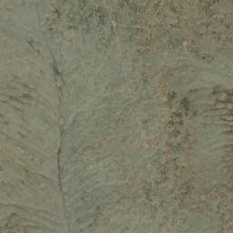 Satellite imagery of Brown Ridge, US