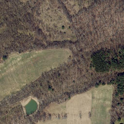 Satellite imagery of Fir Tree Point, US