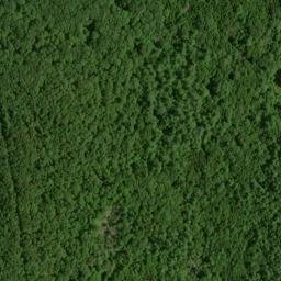 Satellite imagery of Prescott Peninsula, US