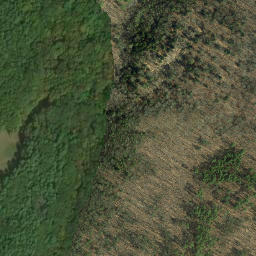 Satellite imagery of Mossy Hill Quarry, US