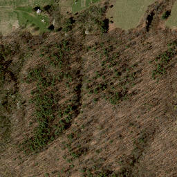 Satellite imagery of Swarthout Point, US