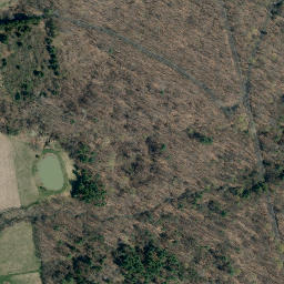 Satellite imagery of Buttonwood Point, US