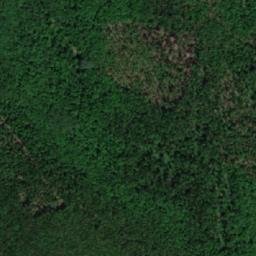 Satellite imagery of Dimov Grob, BG