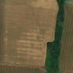 Satellite imagery of TT36/XII/, BG