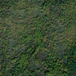 Satellite imagery of TT21/II/, BG