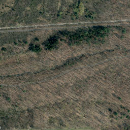 Satellite imagery of Scout Point, US