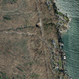 Satellite imagery of Scout Point, US