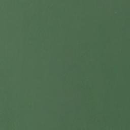 Satellite imagery of Coon Point, US