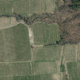 Satellite imagery of Scout Point, US