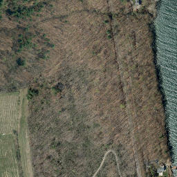 Satellite imagery of Scout Point, US