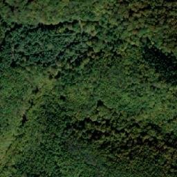 Satellite imagery of TT29, BG