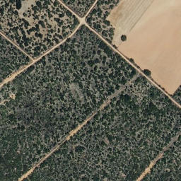 Satellite imagery of survey_point, ES