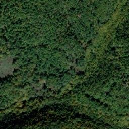 Satellite imagery of TT29, BG