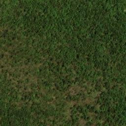Satellite imagery of West Hill, US
