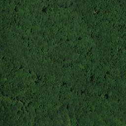 Satellite imagery of Trana, BG