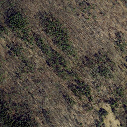 Satellite imagery of Rye Point, US