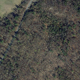 Satellite imagery of Pinnacle Rock, US