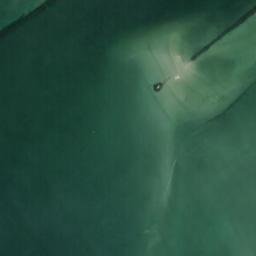 Satellite imagery of Punta Placeres, ES