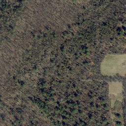 Satellite imagery of Pinnacle Rock, US