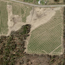 Satellite imagery of Sebring Hill, US