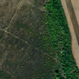 Satellite imagery of TT11/III/, BG